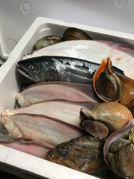 オヒョウ、本ます、赤鰈、真鰈、縞ゾイ、活 真つぶ貝、活 ホッキ貝