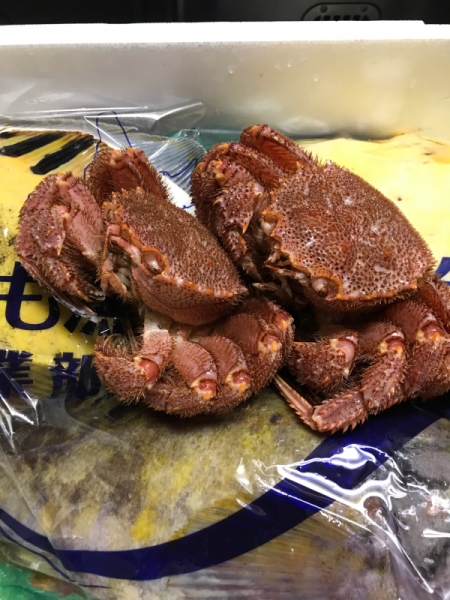 襟裳…毛ガニ、マツカワカレイ、石鰈、真つぶ貝、ホッキ貝
