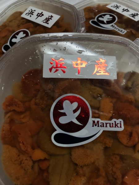 新ロゴ 塩水エゾバフンフニ