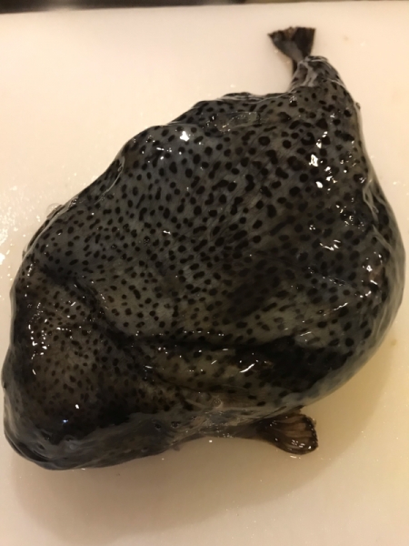 ゴッコ