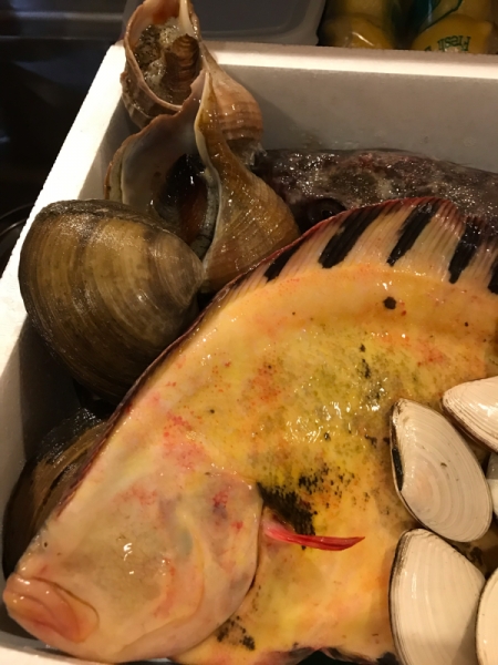 真カジカ、活 真つぶ貝、活 北寄貝、マツカワカレイ、活 白貝。